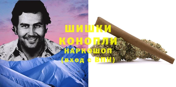 гашик Козельск