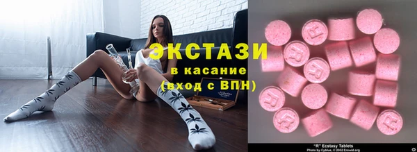 гашик Козельск