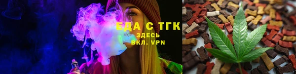 гашик Козельск