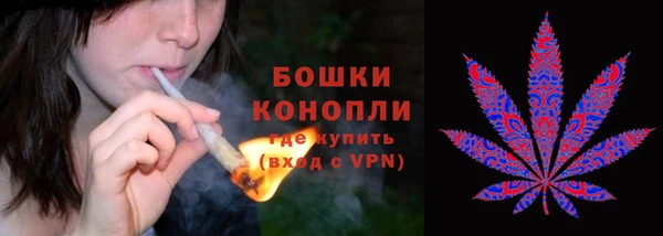 гашик Козельск