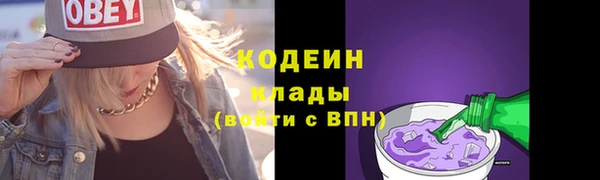 гашик Козельск
