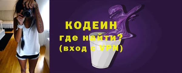 гашик Козельск