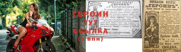 гашик Козельск