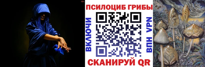 как найти закладки  Усть-Лабинск  Псилоцибиновые грибы GOLDEN TEACHER 