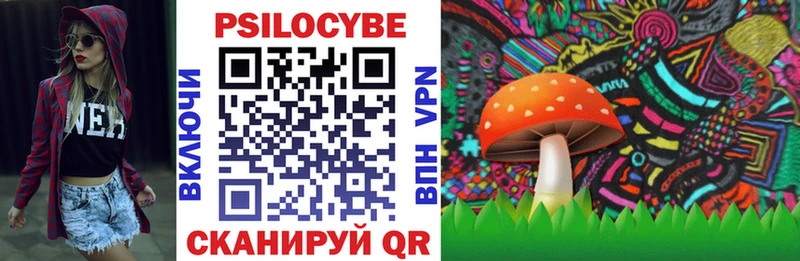 Галлюциногенные грибы GOLDEN TEACHER Усть-Лабинск