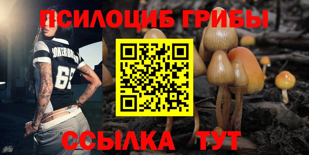 наркотики  Вход с VPN  Усть-Лабинск  Псилоцибиновые грибы Psilocybine cubensis 