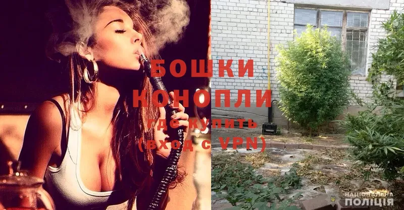 Бошки марихуана SATIVA & INDICA  Усть-Лабинск 